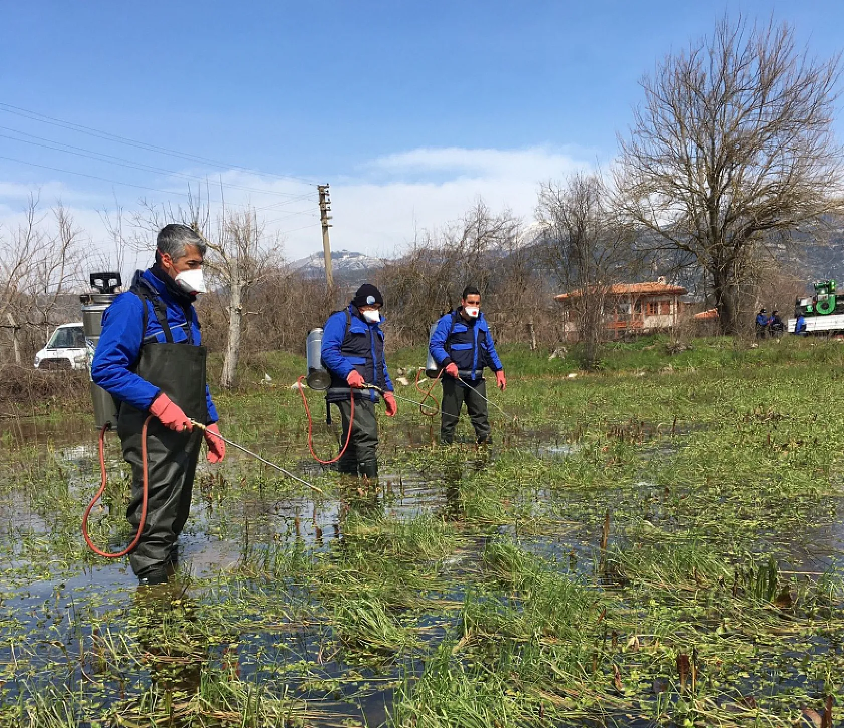 Muğla Büyükşehir'den vektörle mücadele