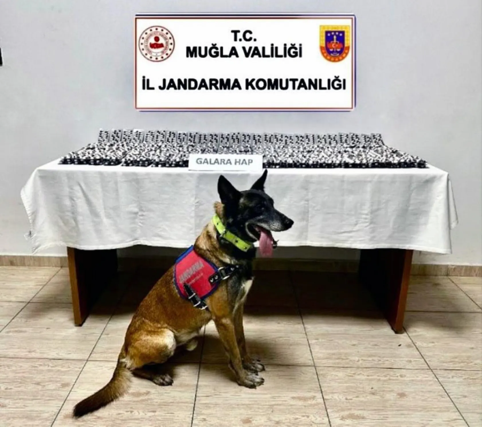Muğla'da organize suç örgütlerine geçit yok