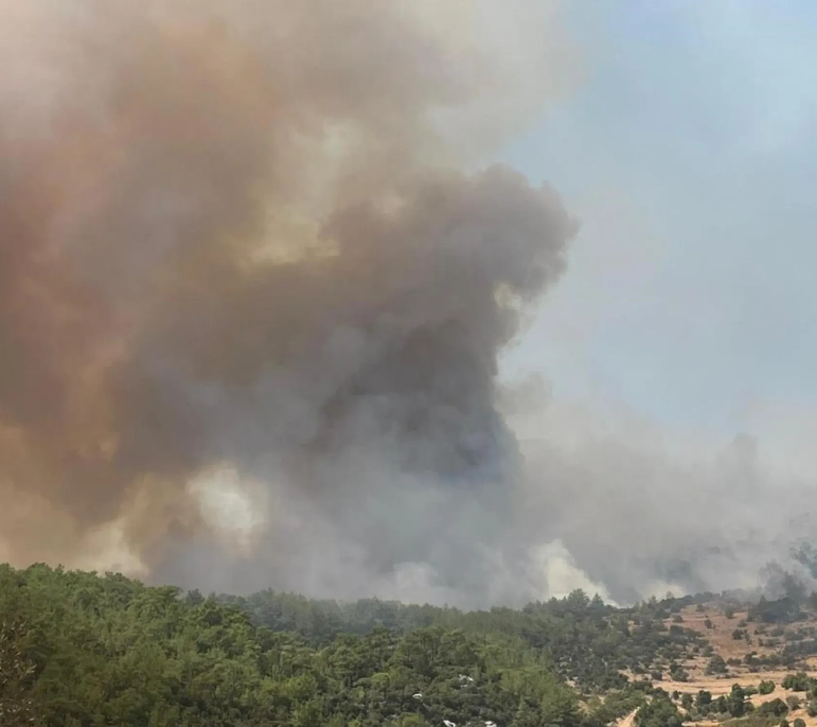 Muğla'daki orman yangınını söndürme çalışmaları devam ediyor