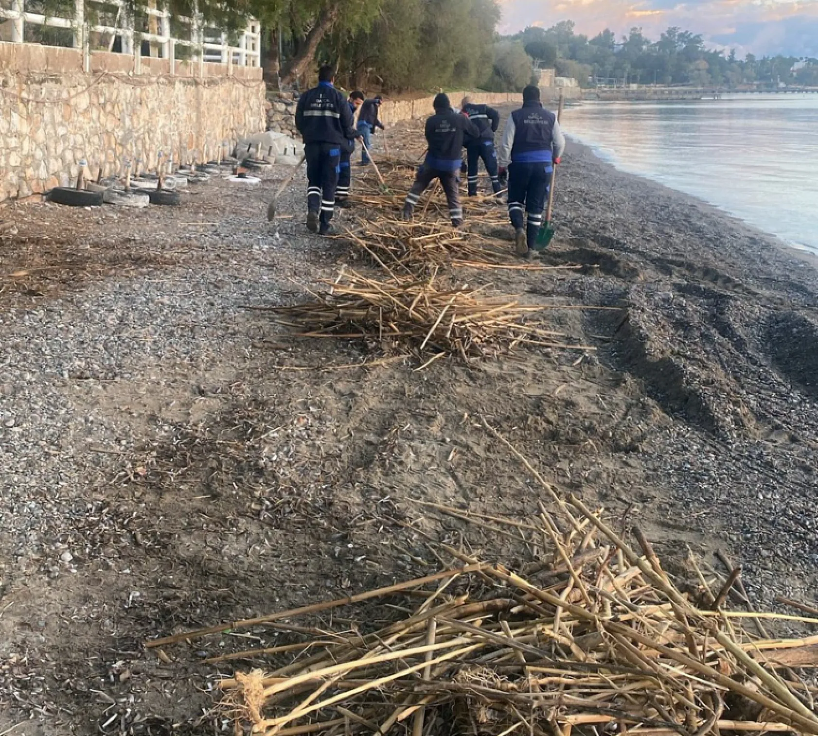 Rodos'un pisliği Datça'yı vurdu