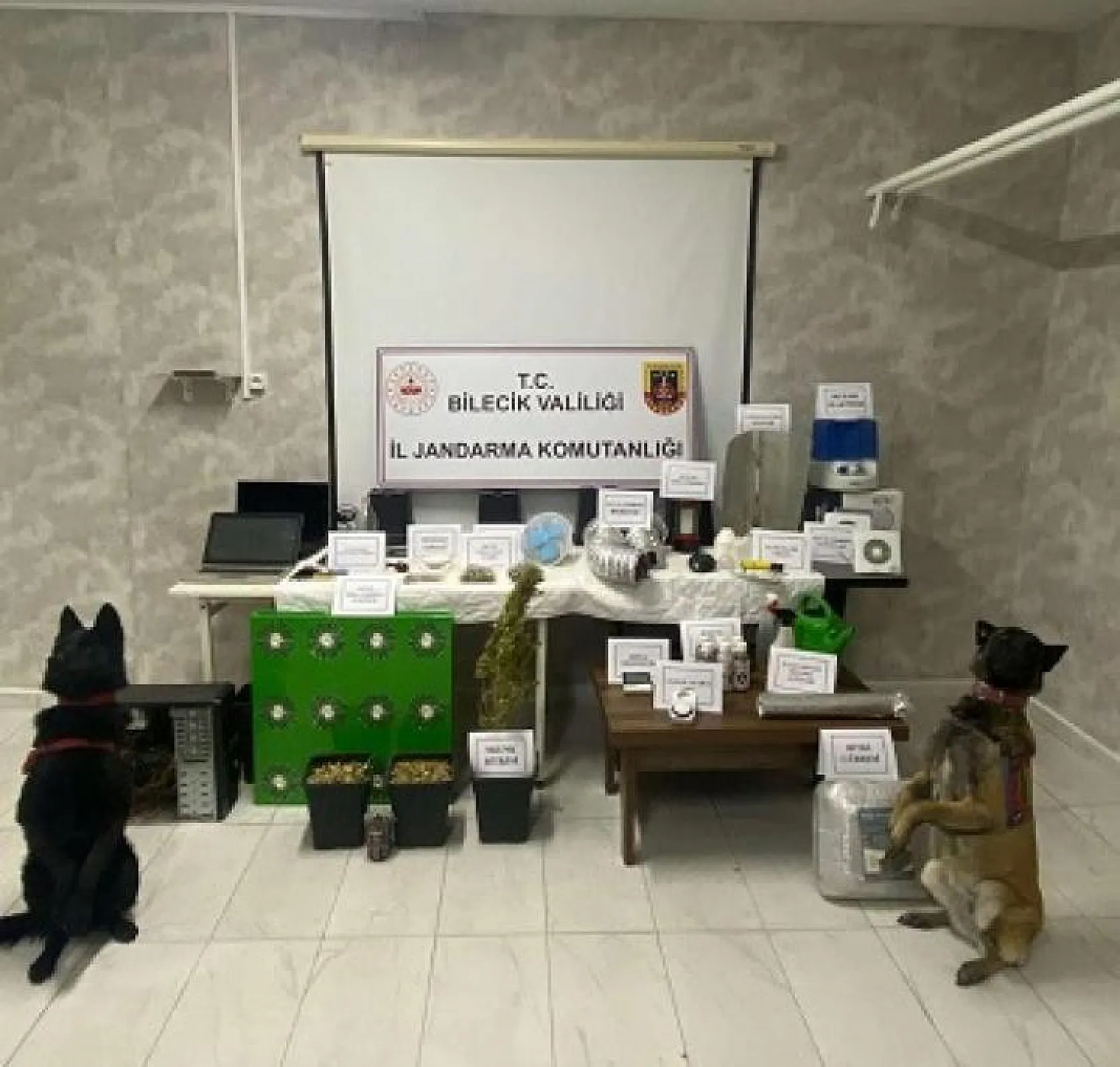 Ev değil sanki uyuşturucu imalathanesi