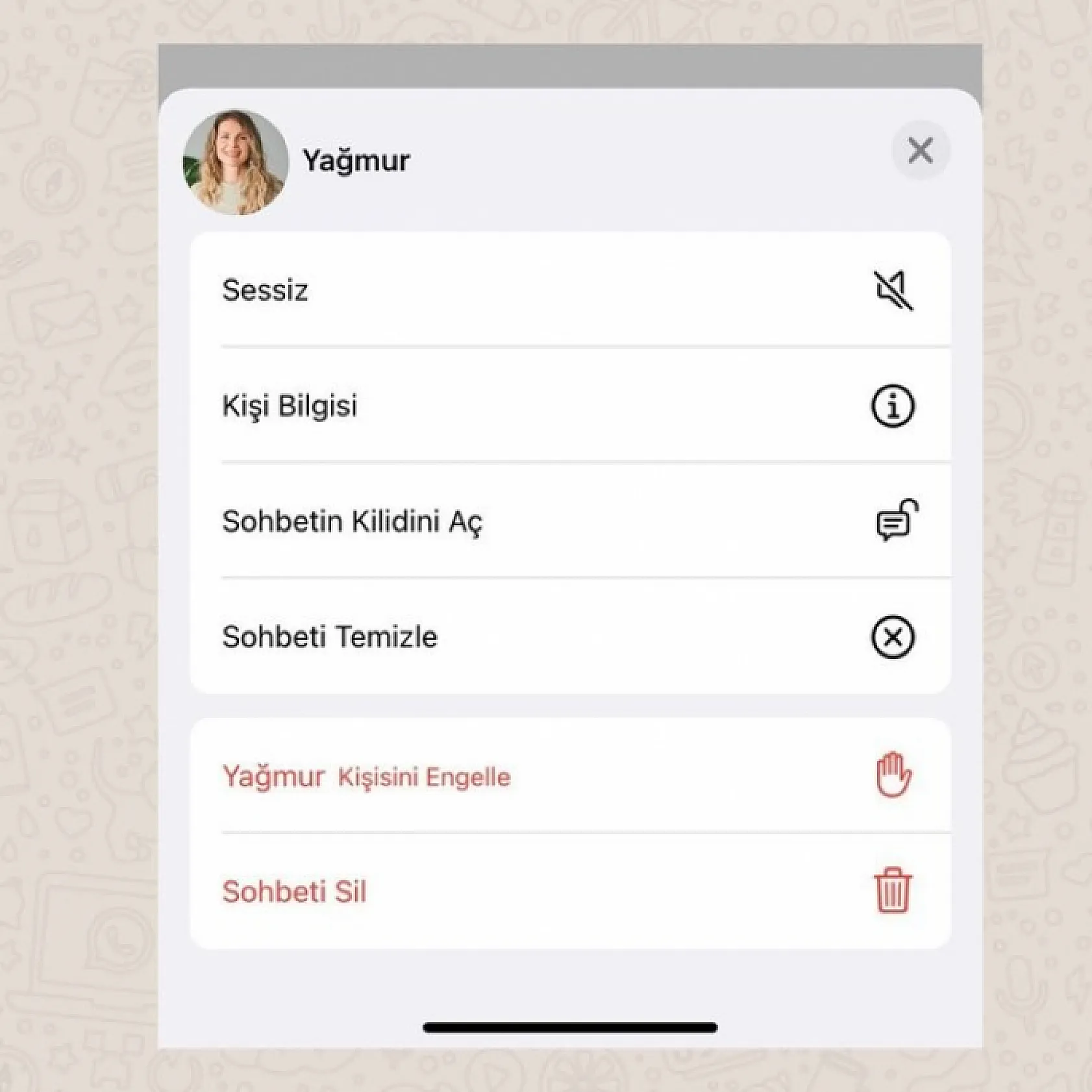 WhatsApp'tan yuva yıkacak yeni özellik