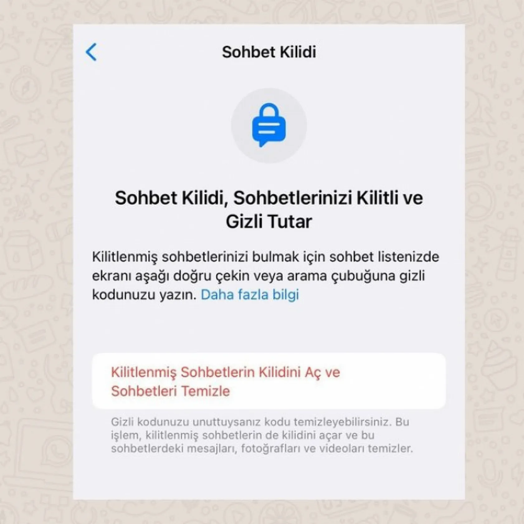 WhatsApp'tan yuva yıkacak yeni özellik