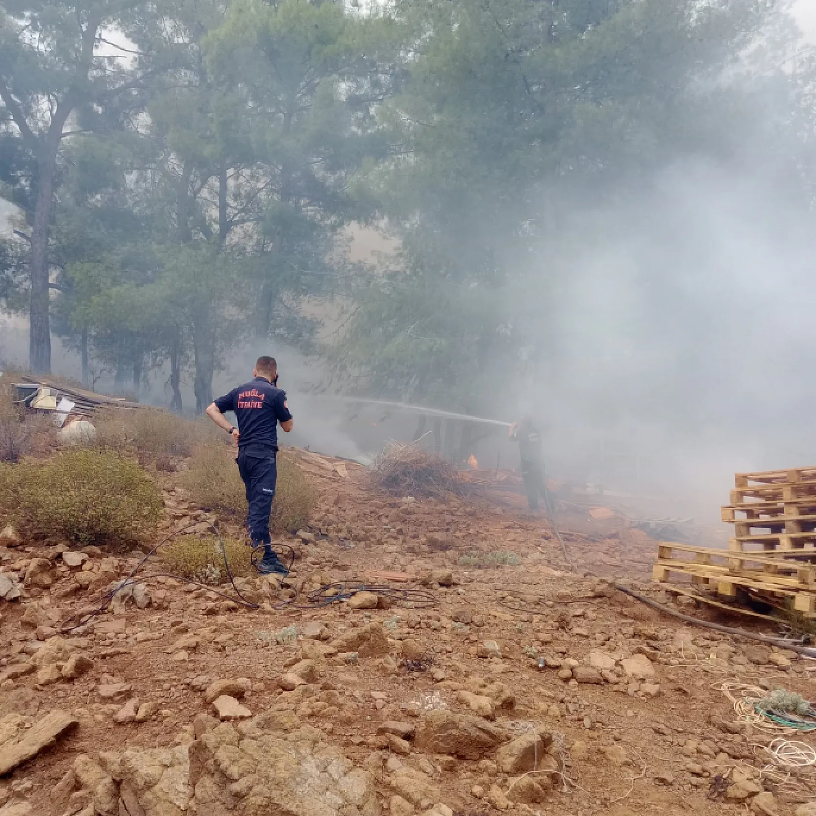 Muğla Büyükşehir İtfaiyesi Milas ve Köyceğiz'de Alevlerle Mücadelede