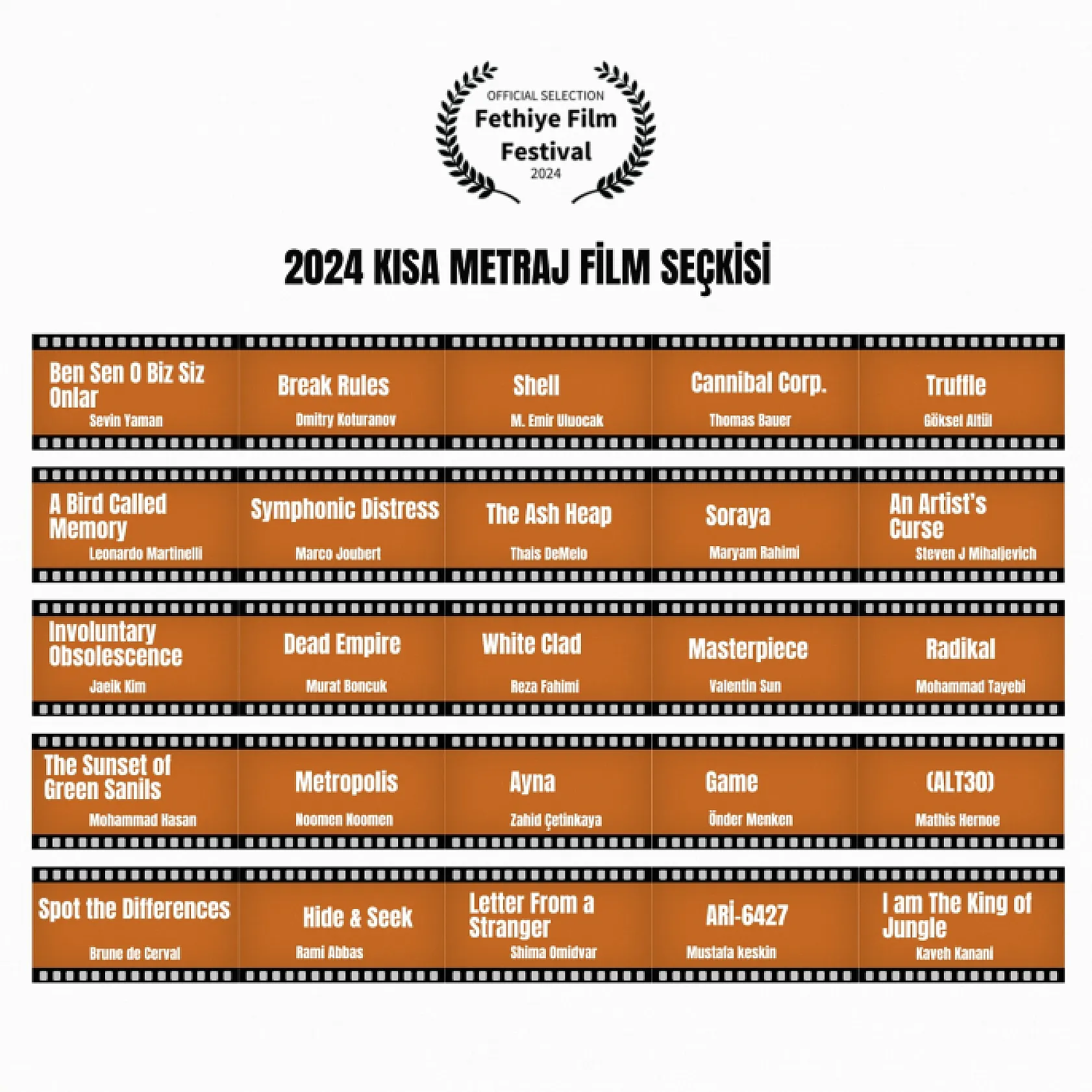 2. Fethiye Film Festivali Festival Programı ve Gösterim Seçkisi