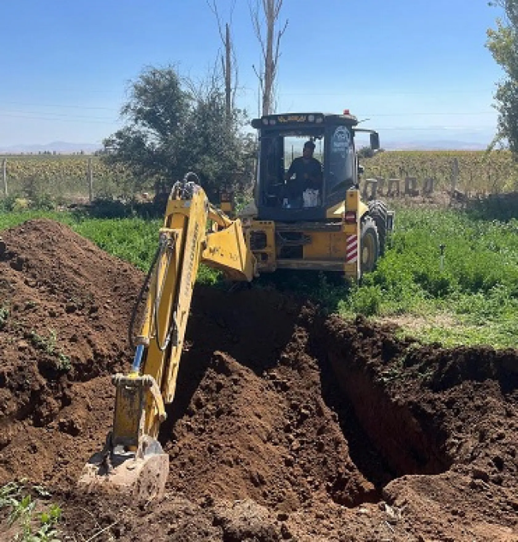 Dayısını öldürüp gömdü sonra mezarı başında ağladı