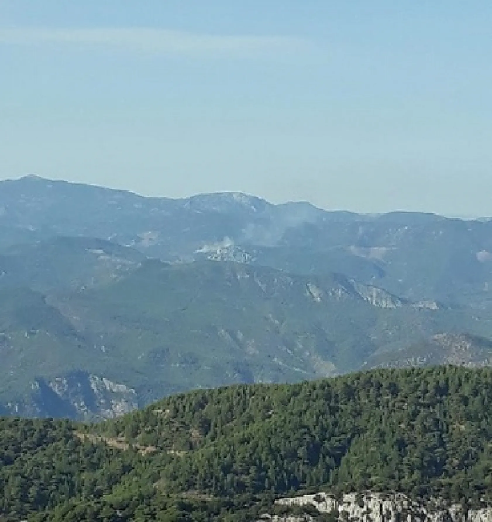 Muğla'da orman yangını