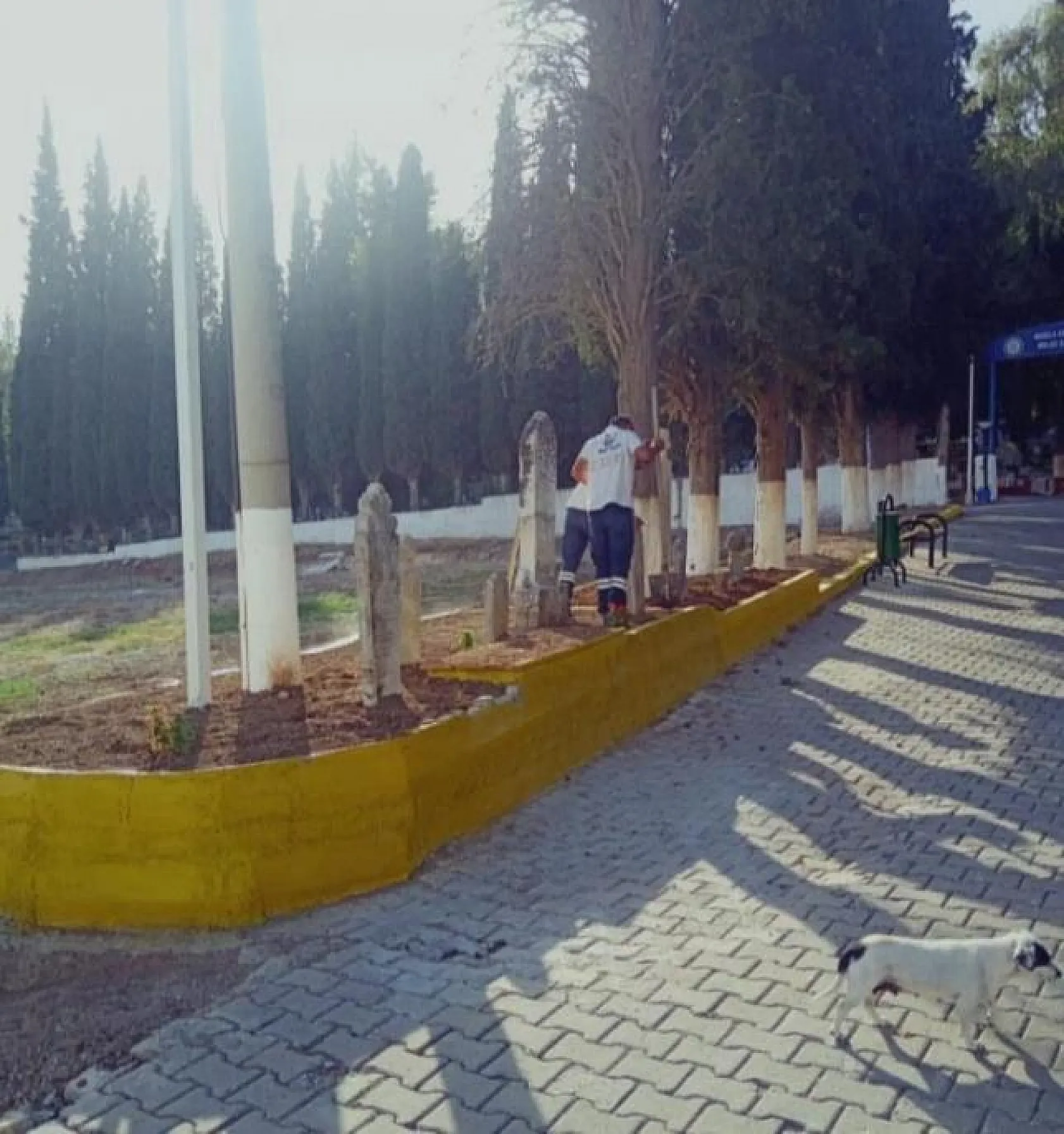 Asırlık Mezar Taşları Koruma Altında