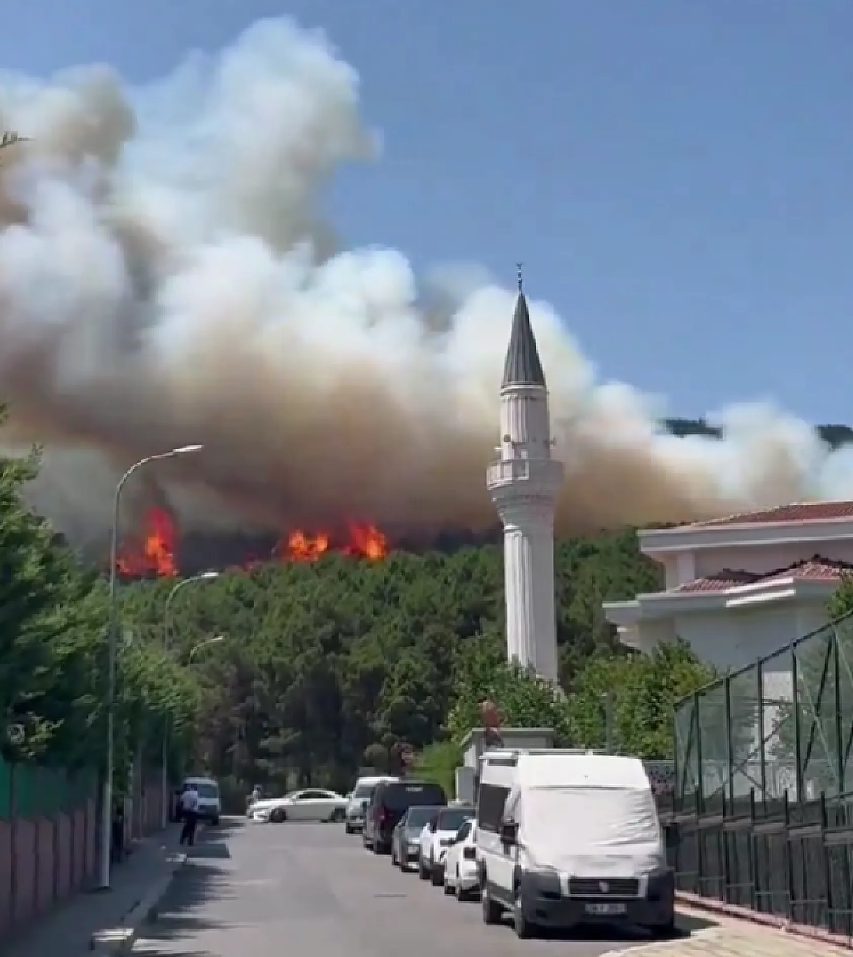 İstanbul'daki Aydos Ormanı'nda yangın çıktı! Alevler güçlükle kontrol altına alındı