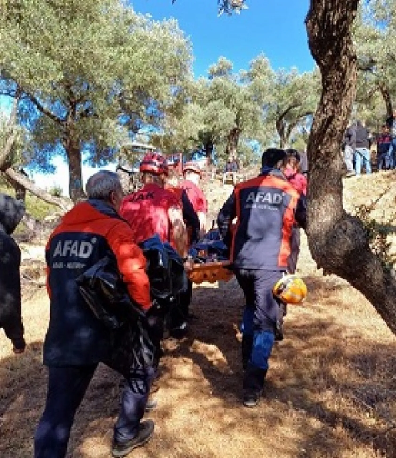 Kayıp koyunlarını aramak için gitti, cansız bedeni bulundu