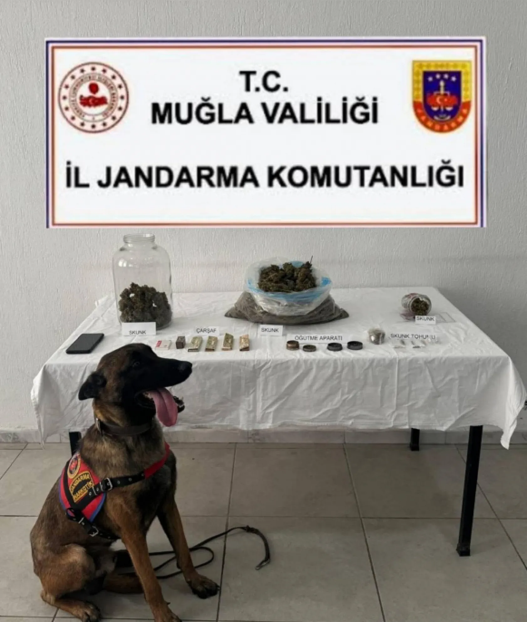 Muğla'da Uyuşturucu Tacirlerine Büyük Darbe 119 Operasyonda 153 Gözaltı, 8 Tutuklama