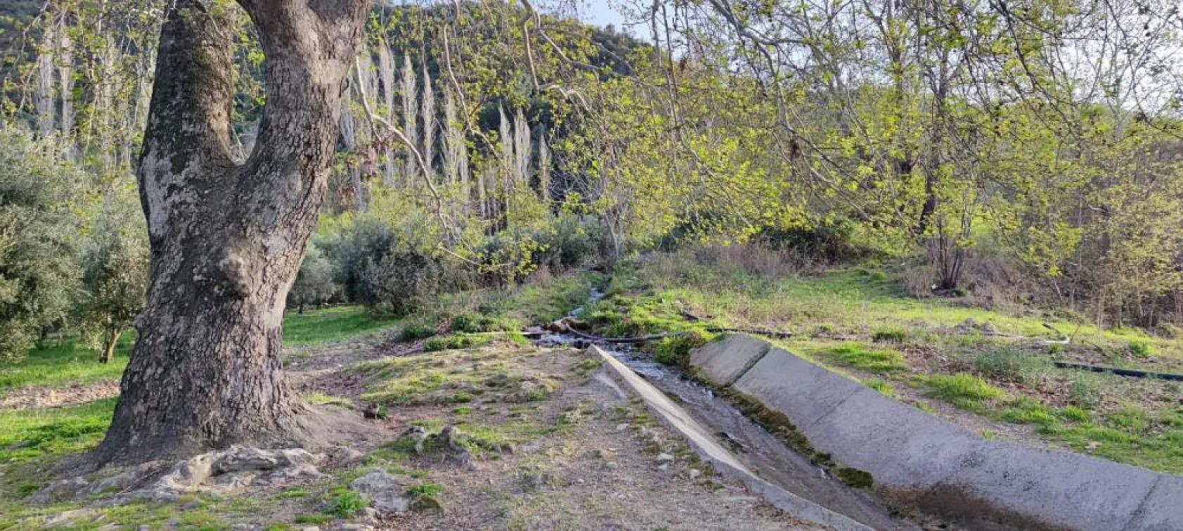 Türkiye'nin 23. doğa harikası Güney Şelalesi ziyaretçilerini bekliyor