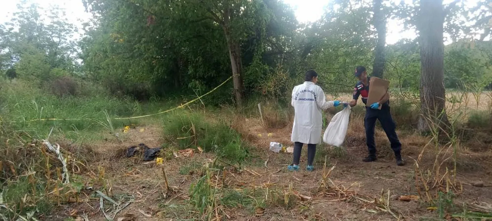 Çiftçinin Şaşkınlığı: Tarlada Kafatası ve Kemikler Ortaya Çıktı