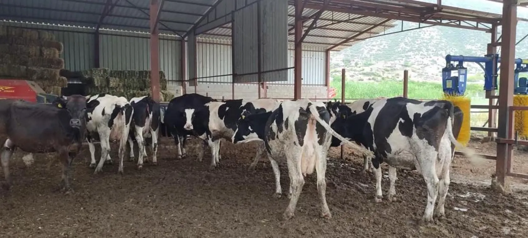 Kadın yetiştirici aldığı tarım destekleriyle aile işletmesini büyüttü