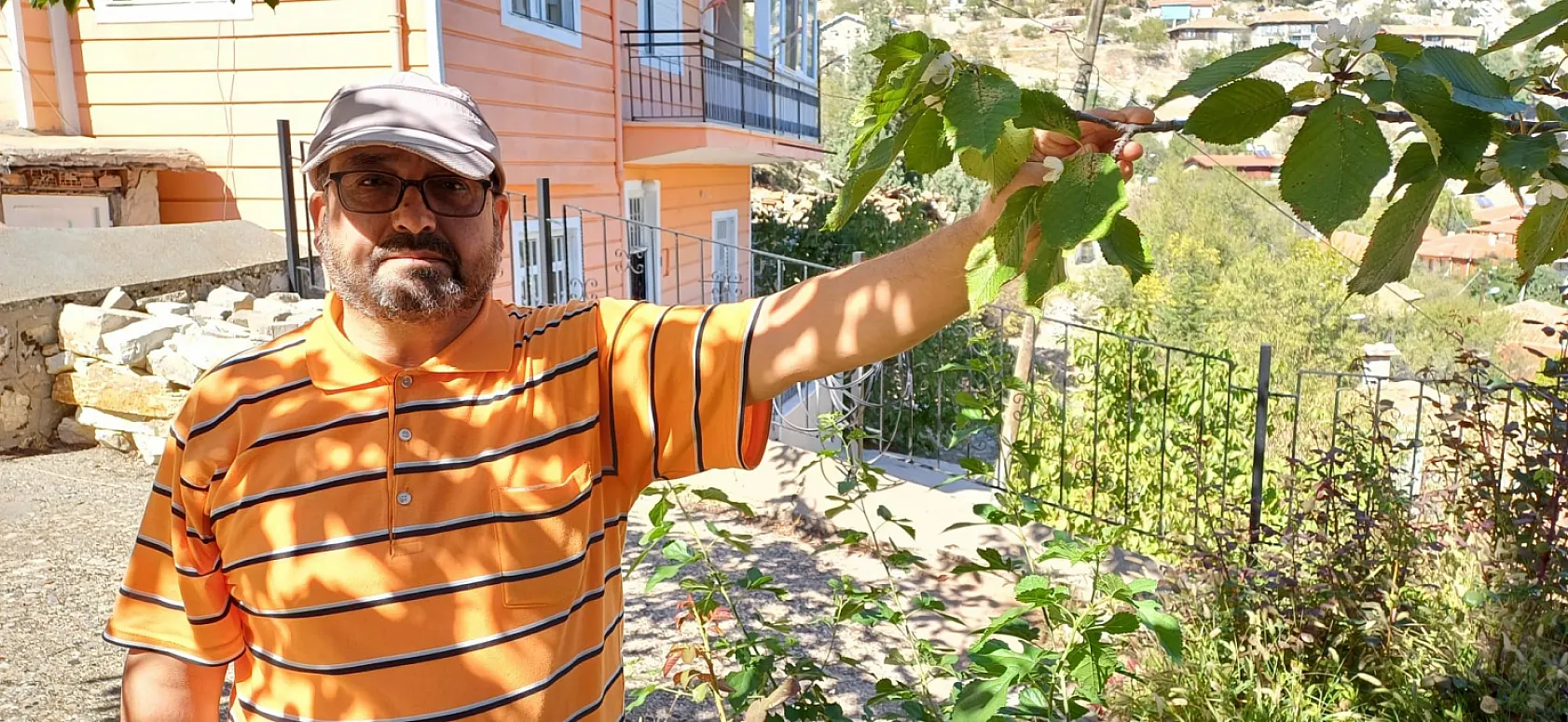 Eylül ayının sonunda çiçek açan kiraz ağacı şaşırttı