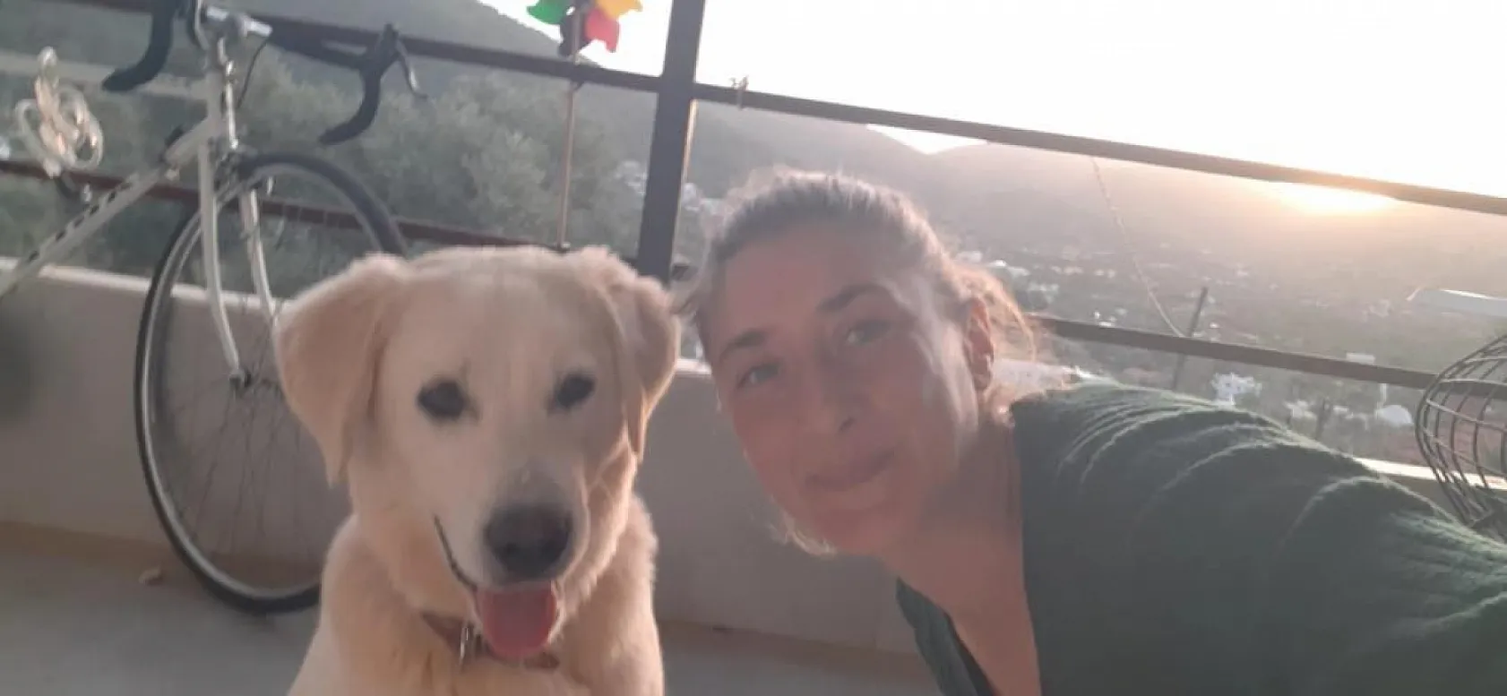 Bodrum'da Hayvan Katliamı