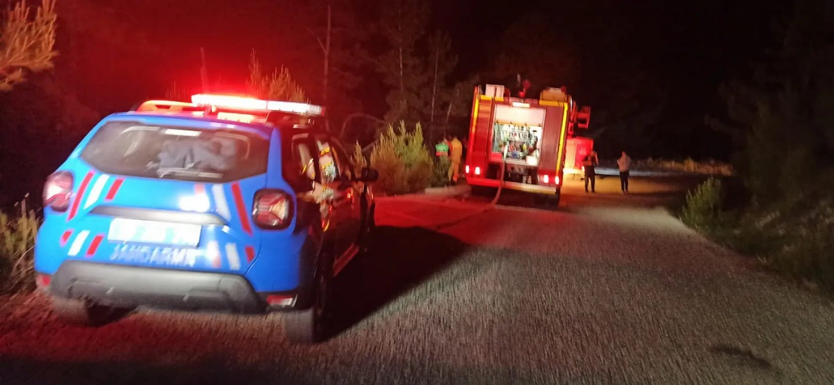 Şarampole yuvarlanan otomobil orman yangınına neden oldu