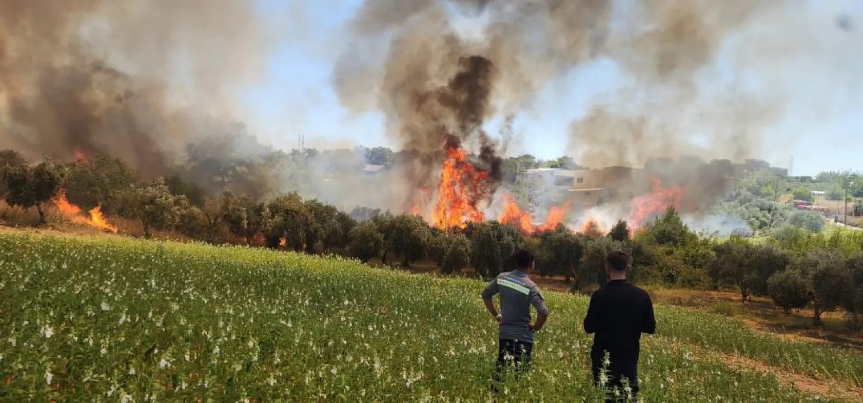 Antalya'da ormanlık ve kırsal alanda çıkan yangın kontrol altına alındı
