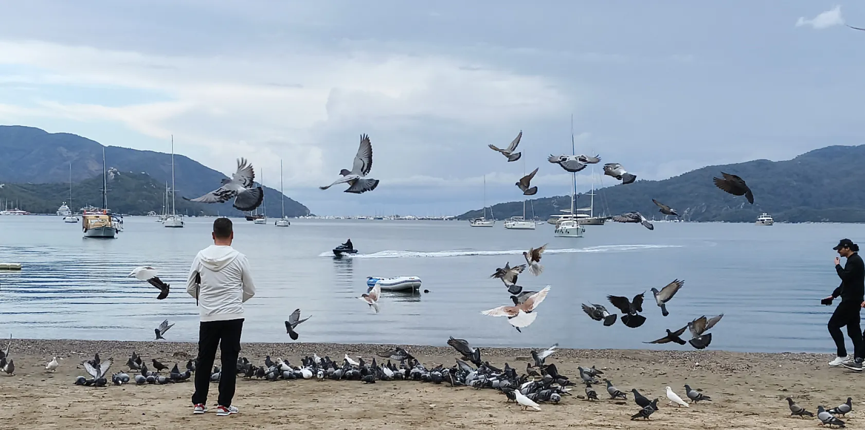 Marmaris'te güvercinler kışın boşalan sahili mesken tuttu