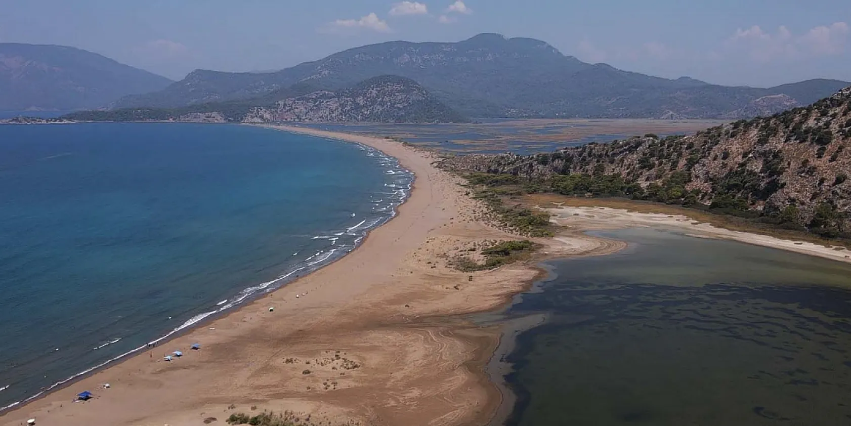 Caretta carettalara ev sahipliği yapan İztuzu Sahili'nde yuva sayısı 800'e ulaştı