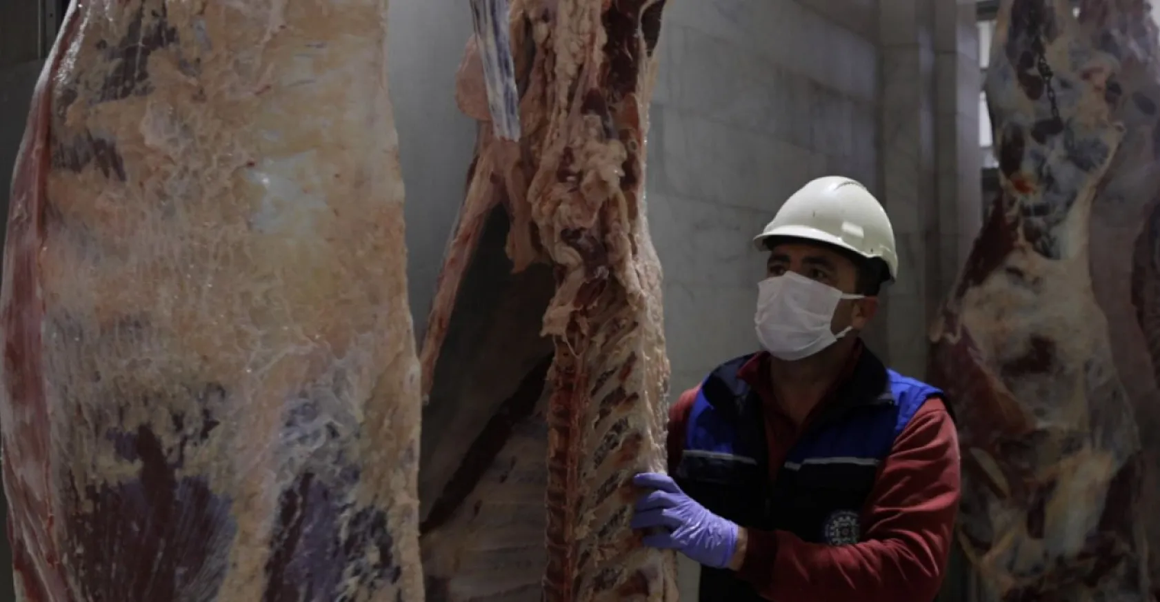 Muğla Büyükşehir Modern Mezbahaları ile Güvenilir Hizmet Veriyor