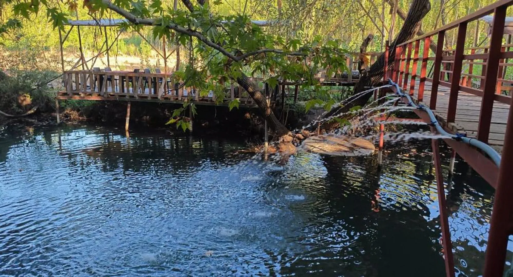 Keşfedilmeyi Bekleyen Bir Cennet: Savur Yeşilsu