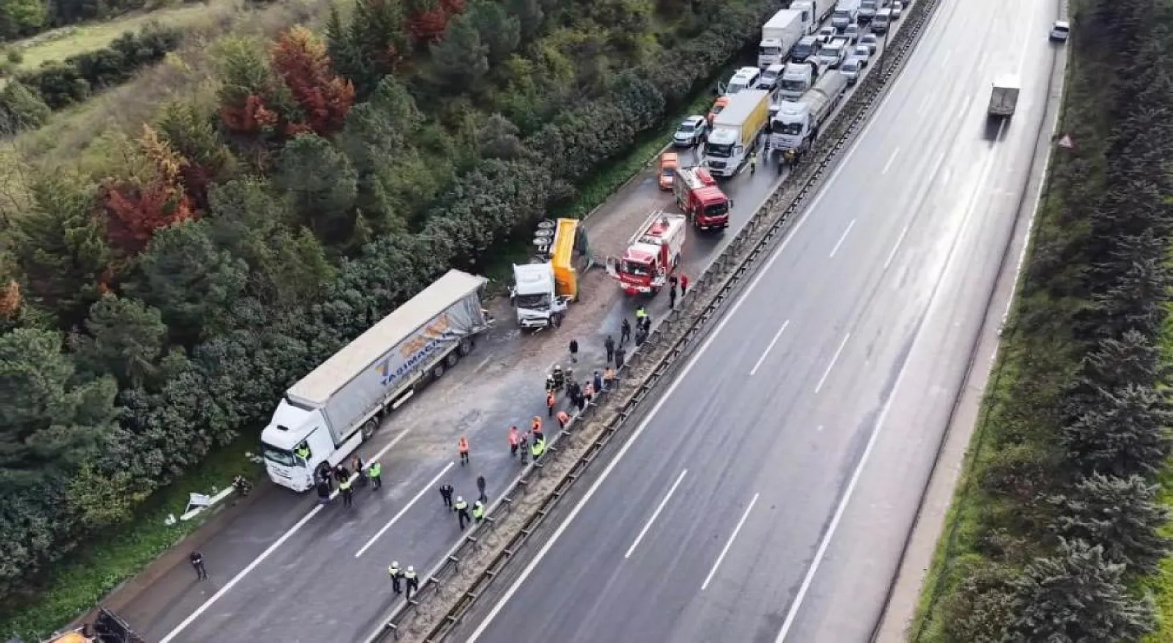 TEM Otoyolu İzmit Geçişinde Feci Kaza: Yaşlı Çift Hayatını Kaybetti