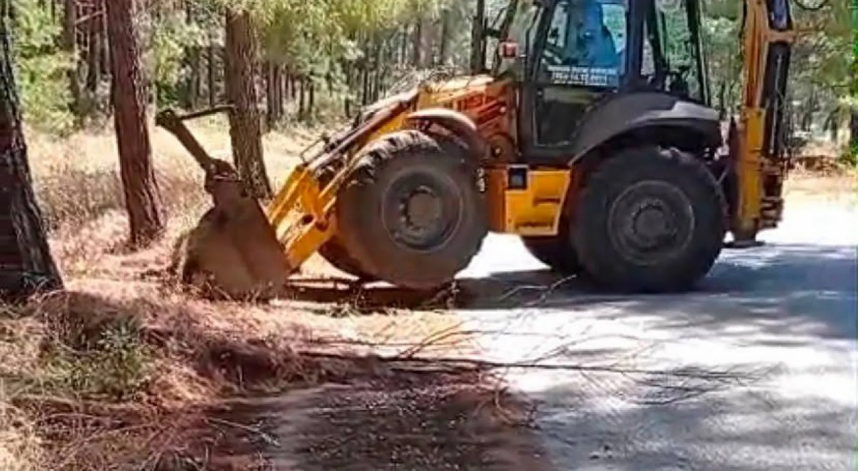 Marmaris'te orman yangınlarına karşı yol kenarlarında yoğun mesai