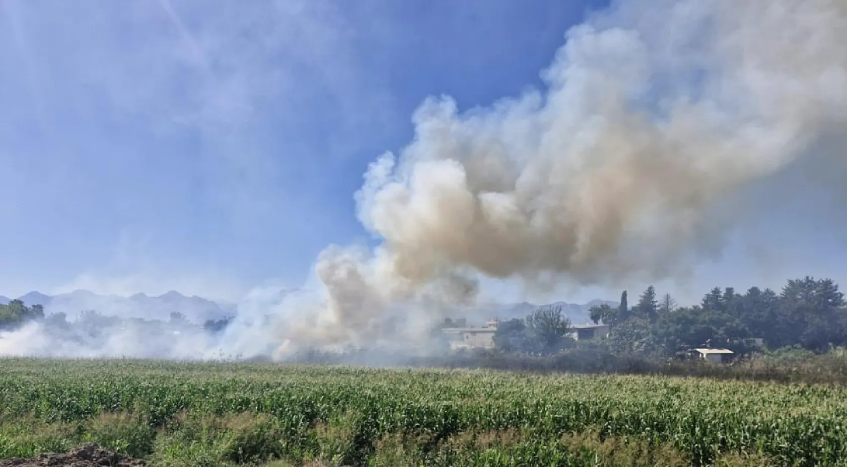 Antalya'da kargılık alanda yangın