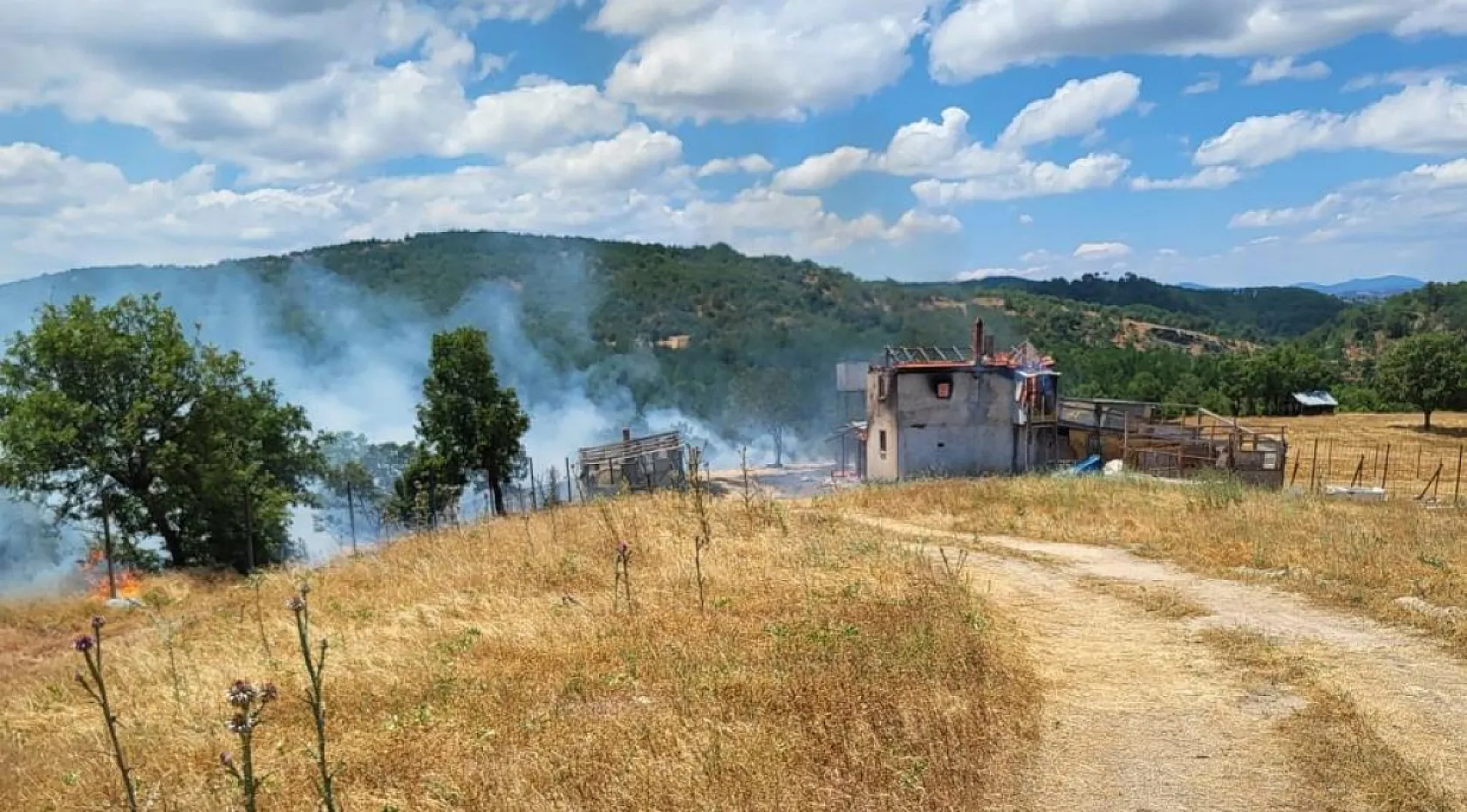 Kütahya'da ev yangını ormana sıçradı, 3 hektar alan zarar gördü