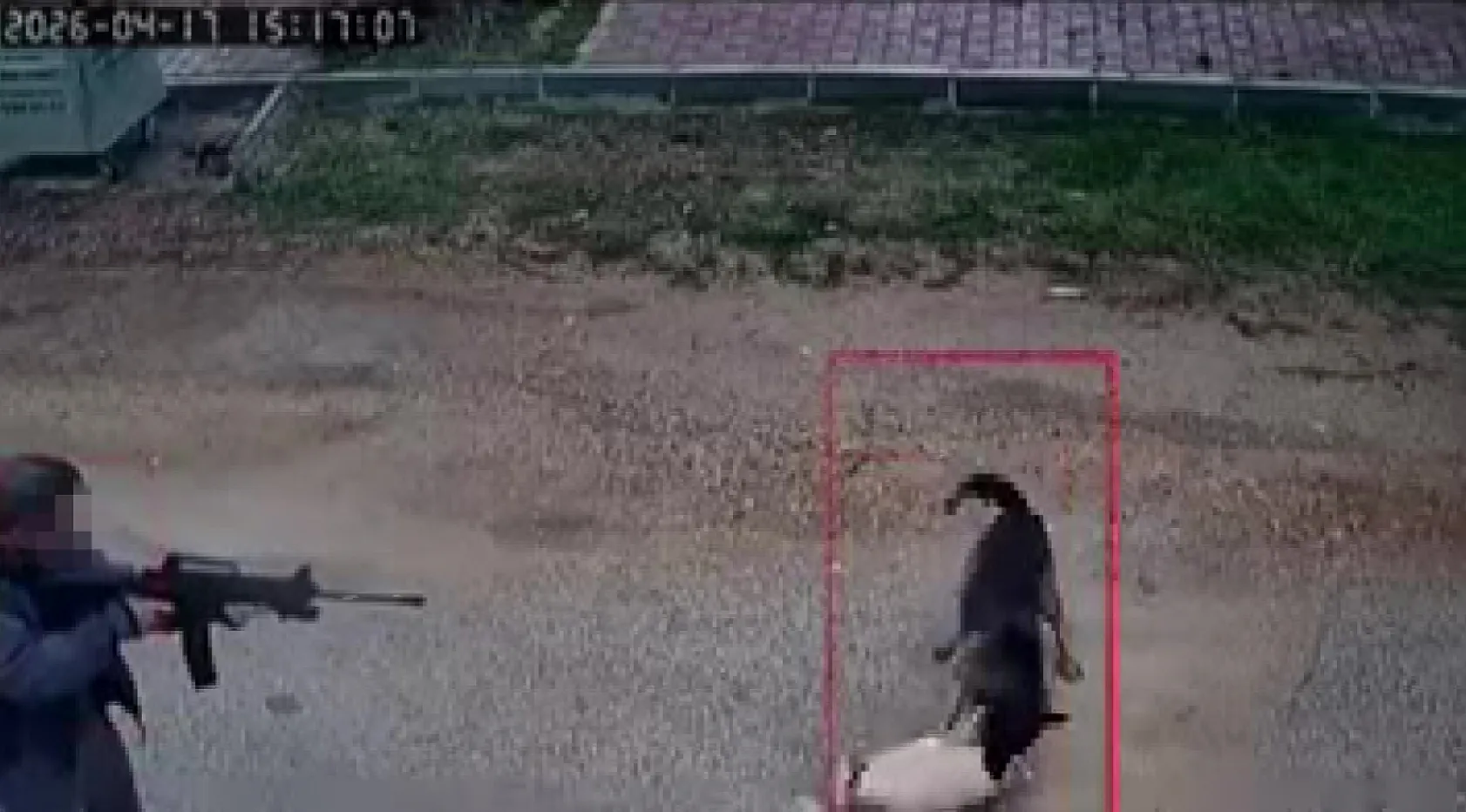 Kavga eden sokak köpeklerine tüfekle ateş edip bir köpeği öldürdü