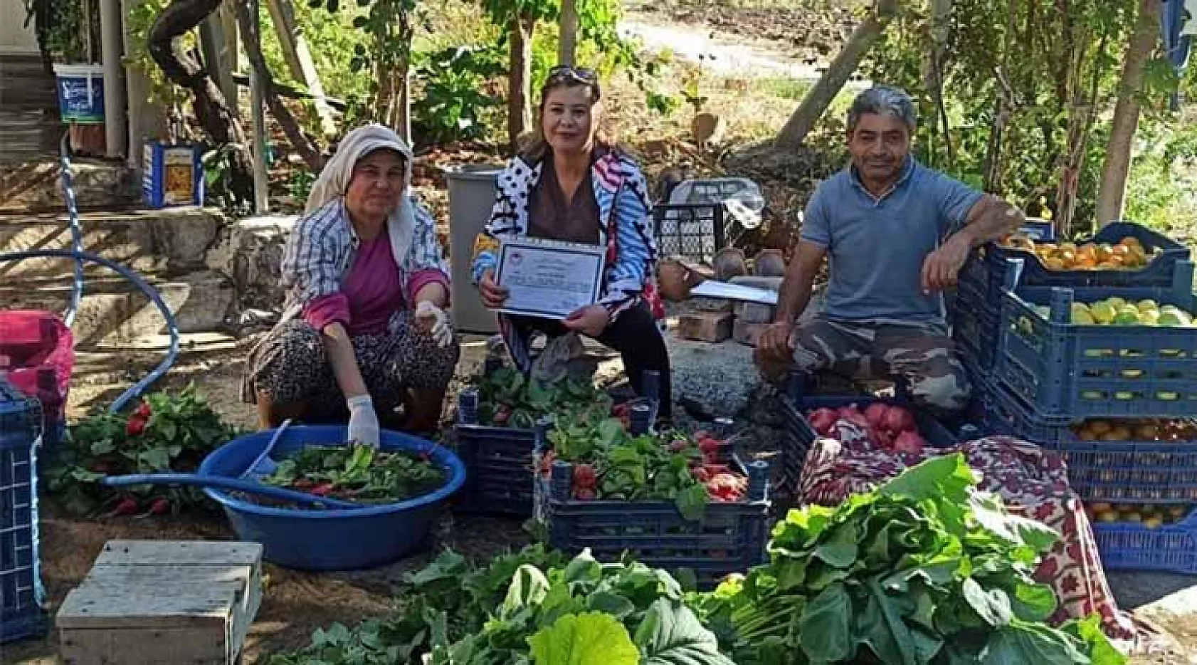 Muğla'da pestisit denetimleriyle sağlık ve çevre güvencesi
