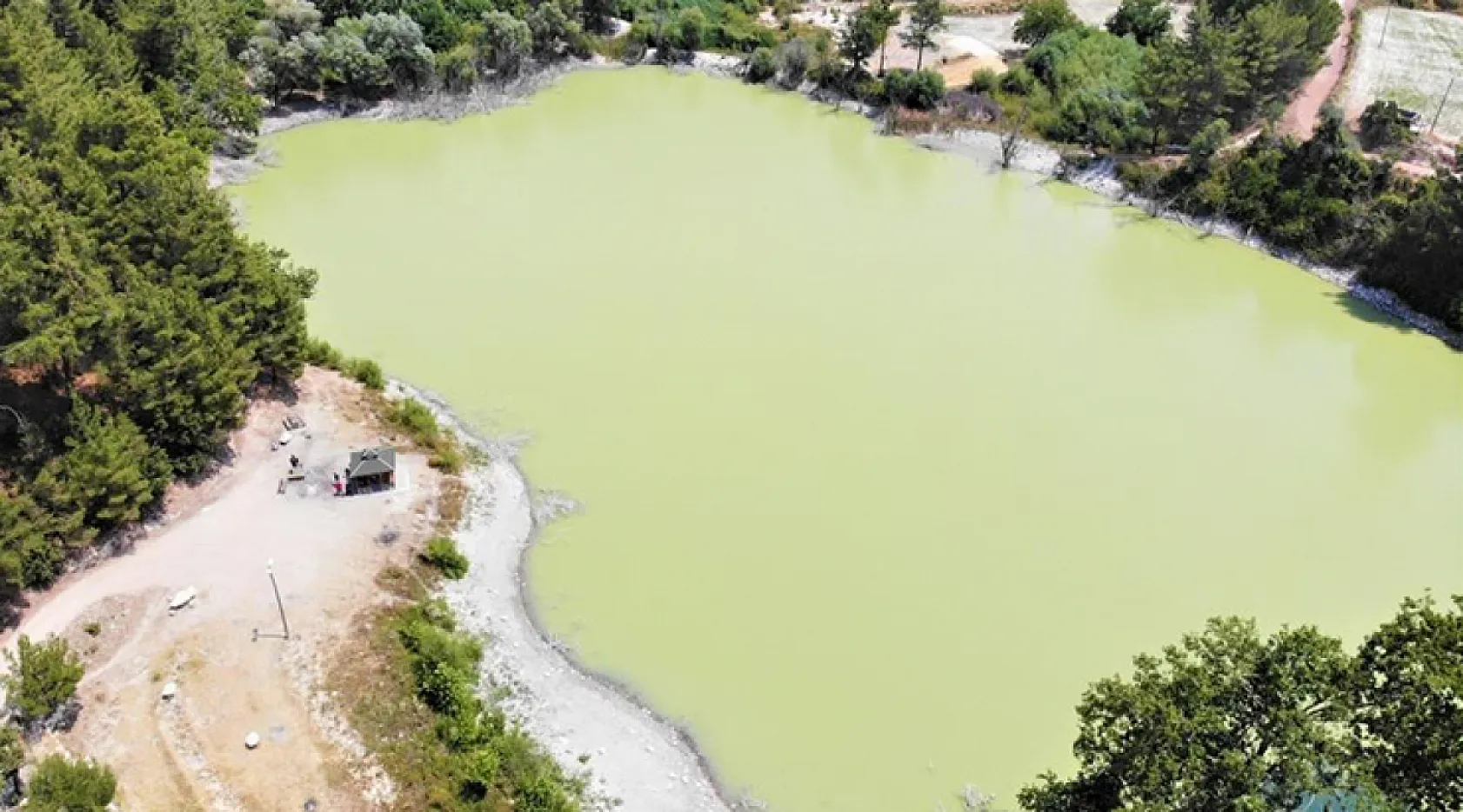 Kuruyan Göldeki Balıklar Balçığın İçerisinden Kurtarıldı