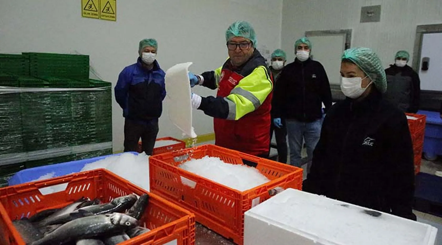 Su ürünleri üretim lideri Muğla'dan 9 ayda 472 milyon dolarlık ihracat