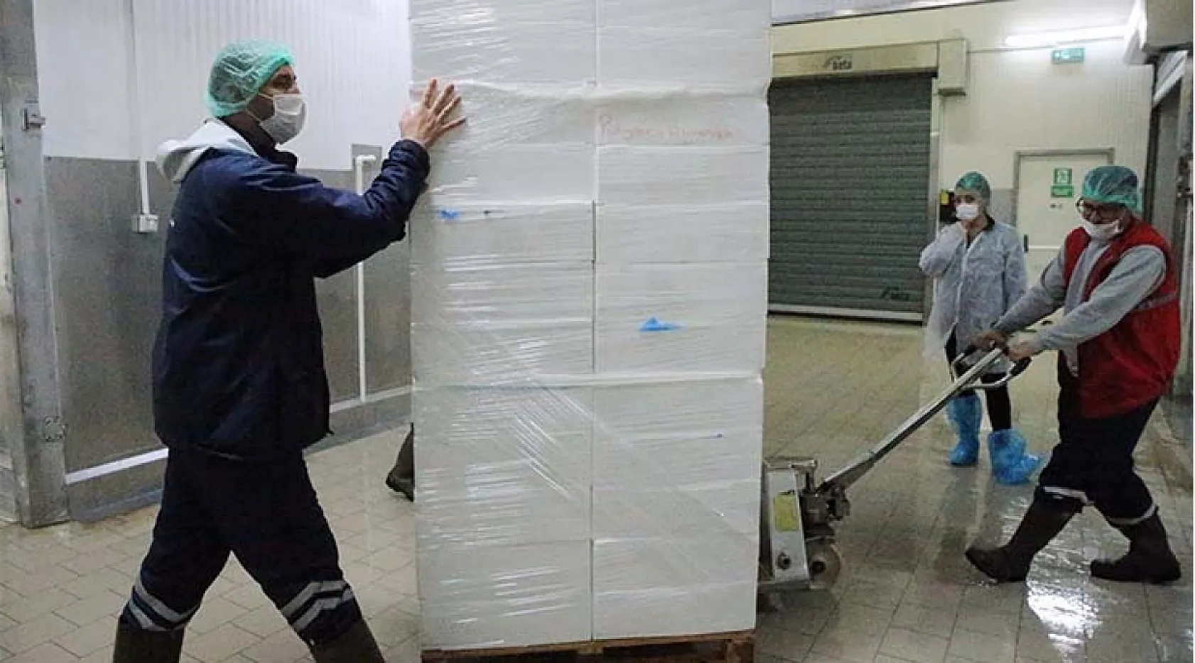 Su ürünleri üretim lideri Muğla'dan 9 ayda 472 milyon dolarlık ihracat