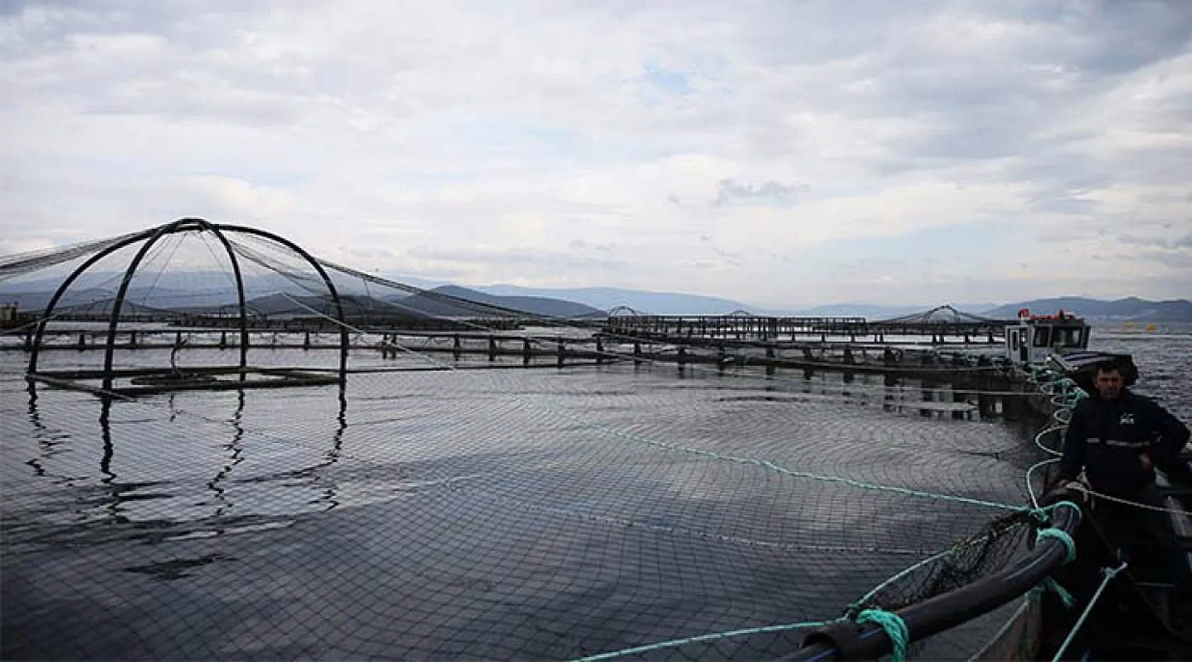 Muğla'dan geçen yıl 625,6 milyon dolarlık su ürünleri ihracatı yapıldı