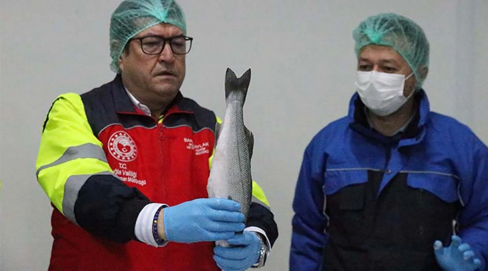 Su ürünleri üretim lideri Muğla'dan 9 ayda 472 milyon dolarlık ihracat