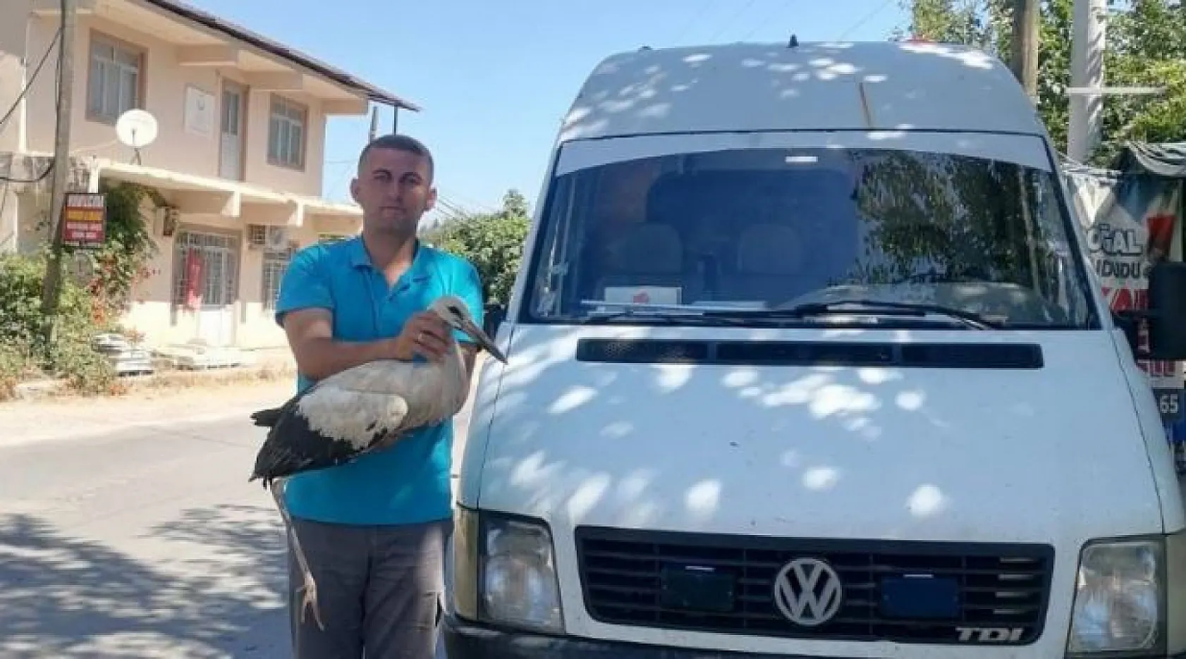 Güneşli Mahallesi'nde Yaralı Leyleği Duyarlı Gençler Kurtardı