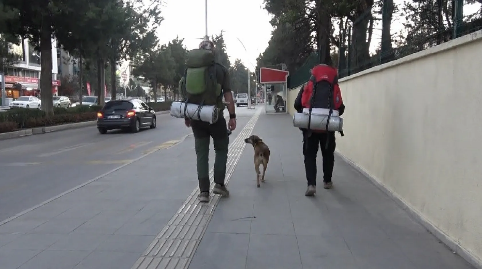 Köpeği ile birlikte tüm Türkiye'yi gezip fidan dikiyor