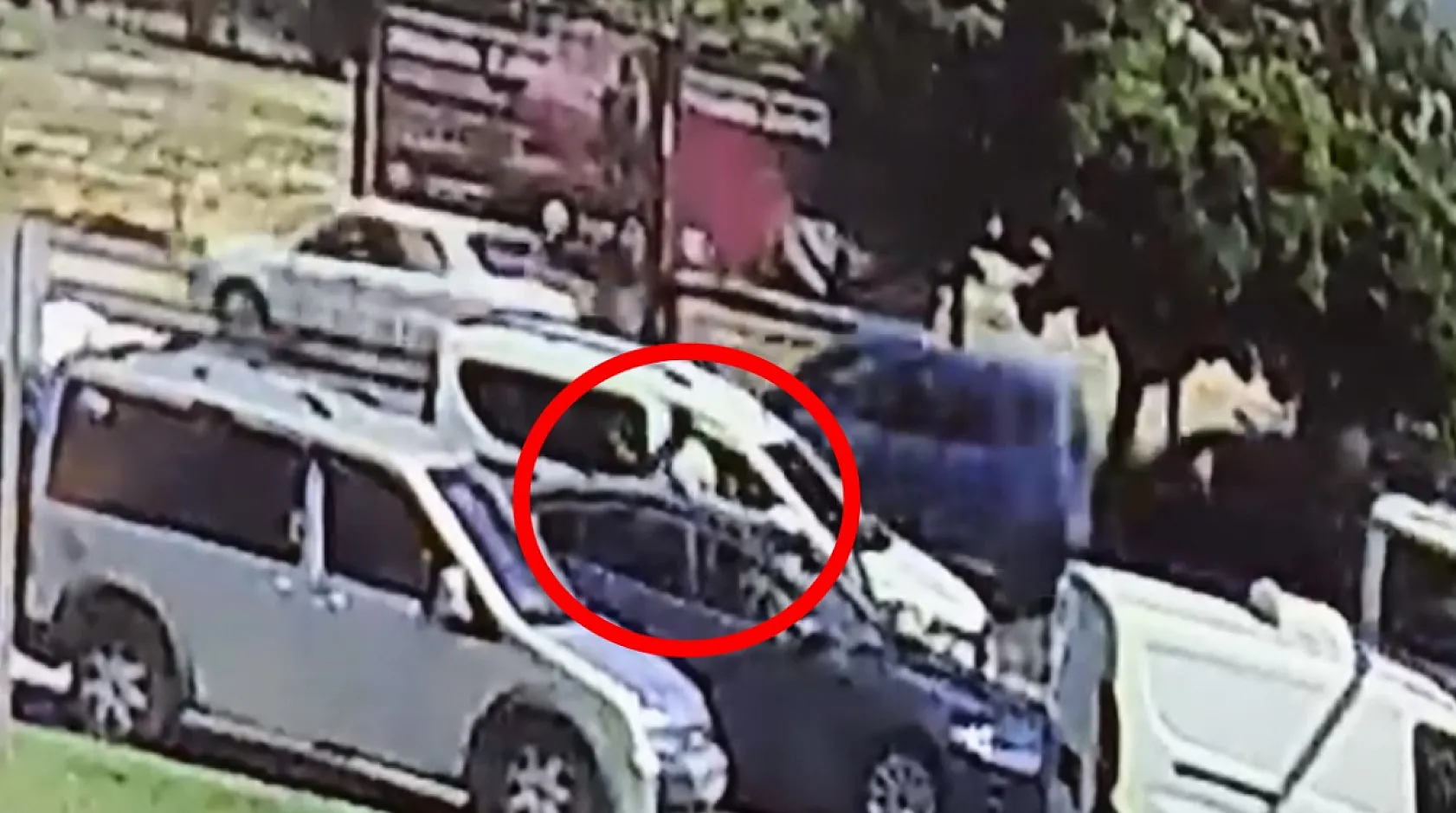Saldırgan şahıs dehşet saçtı… 14 aylık bebeği vurdu, araç gasp edip kaçtı