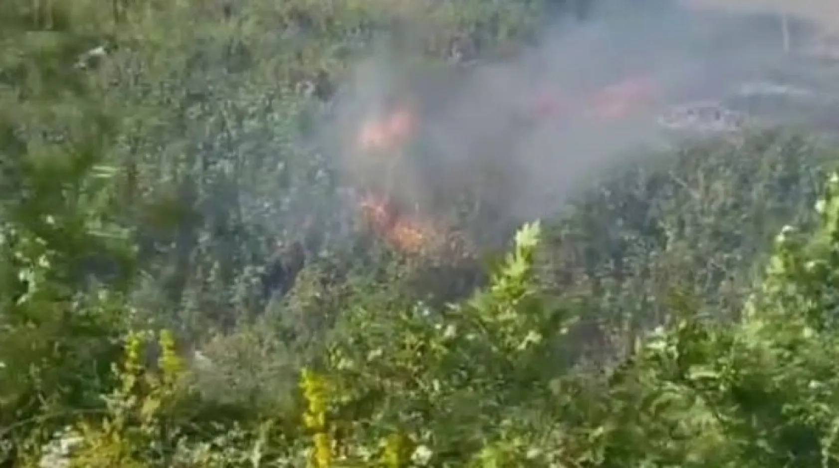 Otluk alanda çıkan yangın, kara yolunu kapladı