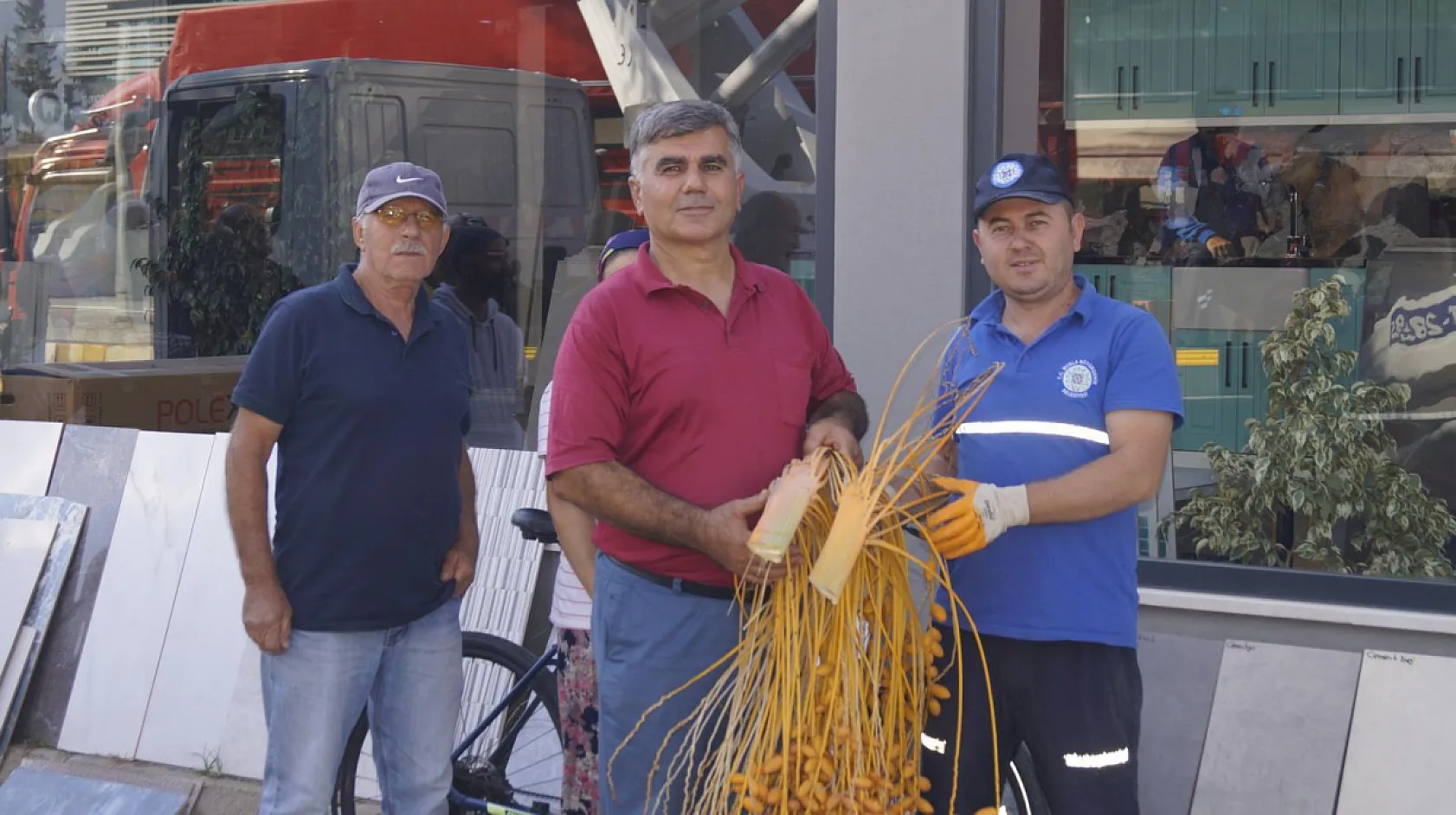 Fethiye'de hurma hasadı devam ediyor