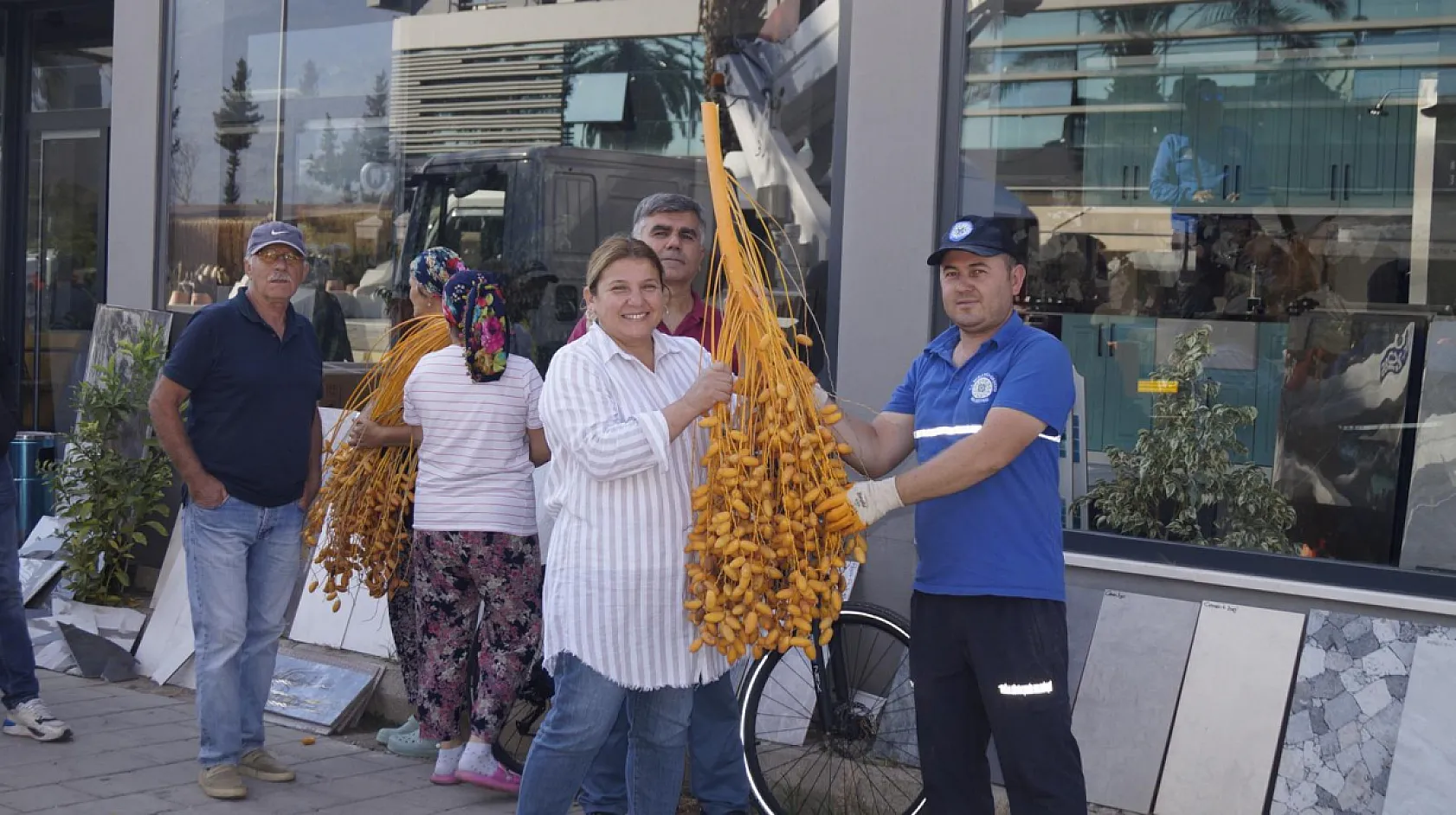 Fethiye'de hurma hasadı devam ediyor