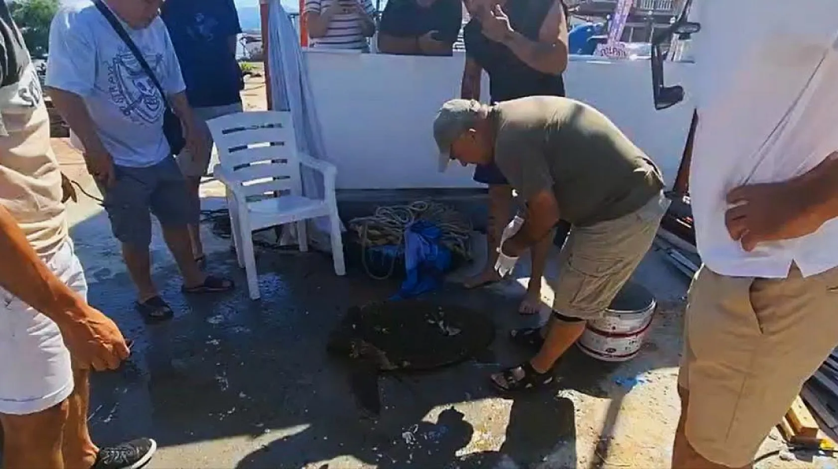 Yaralı Caretta caretta'ya yardım eli uzandı