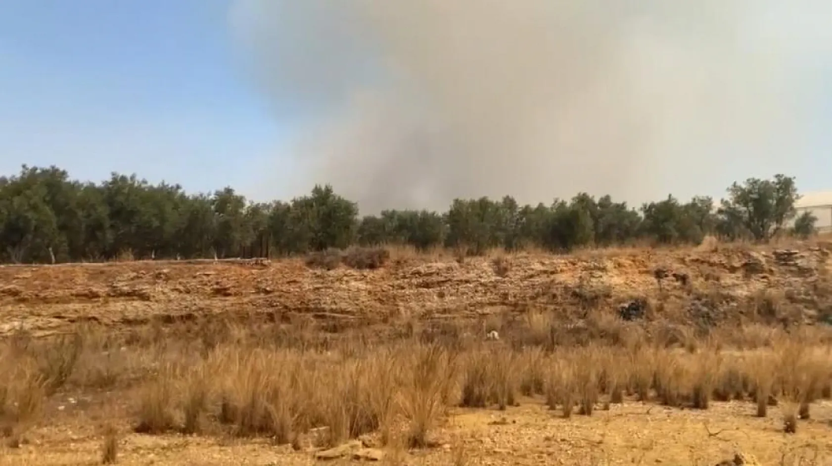 Antalya'da alevlerin yaklaştığı mahallede vatandaşlar hortumlarla nöbette