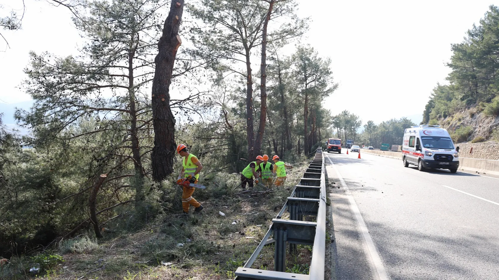 Sakar Geçidinde Orman Yangınlarına Karşı Yol Kenarı Temizliği