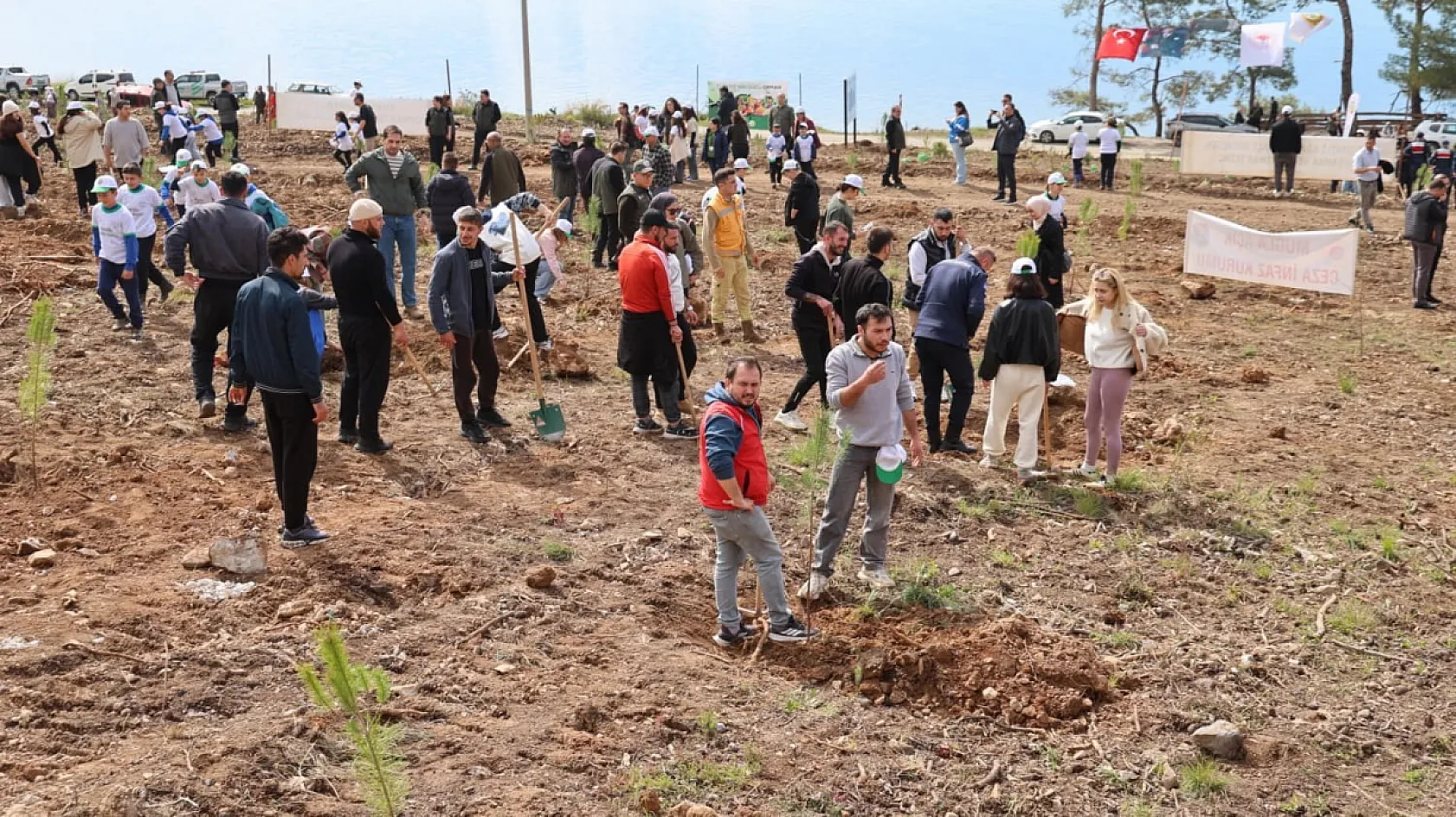 Akyaka'da yanan alan fidanlarla yeşeriyor
