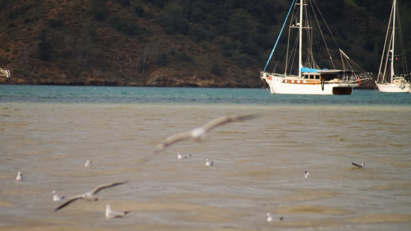 Fethiye Körfezi Çamur Rengini Aldı