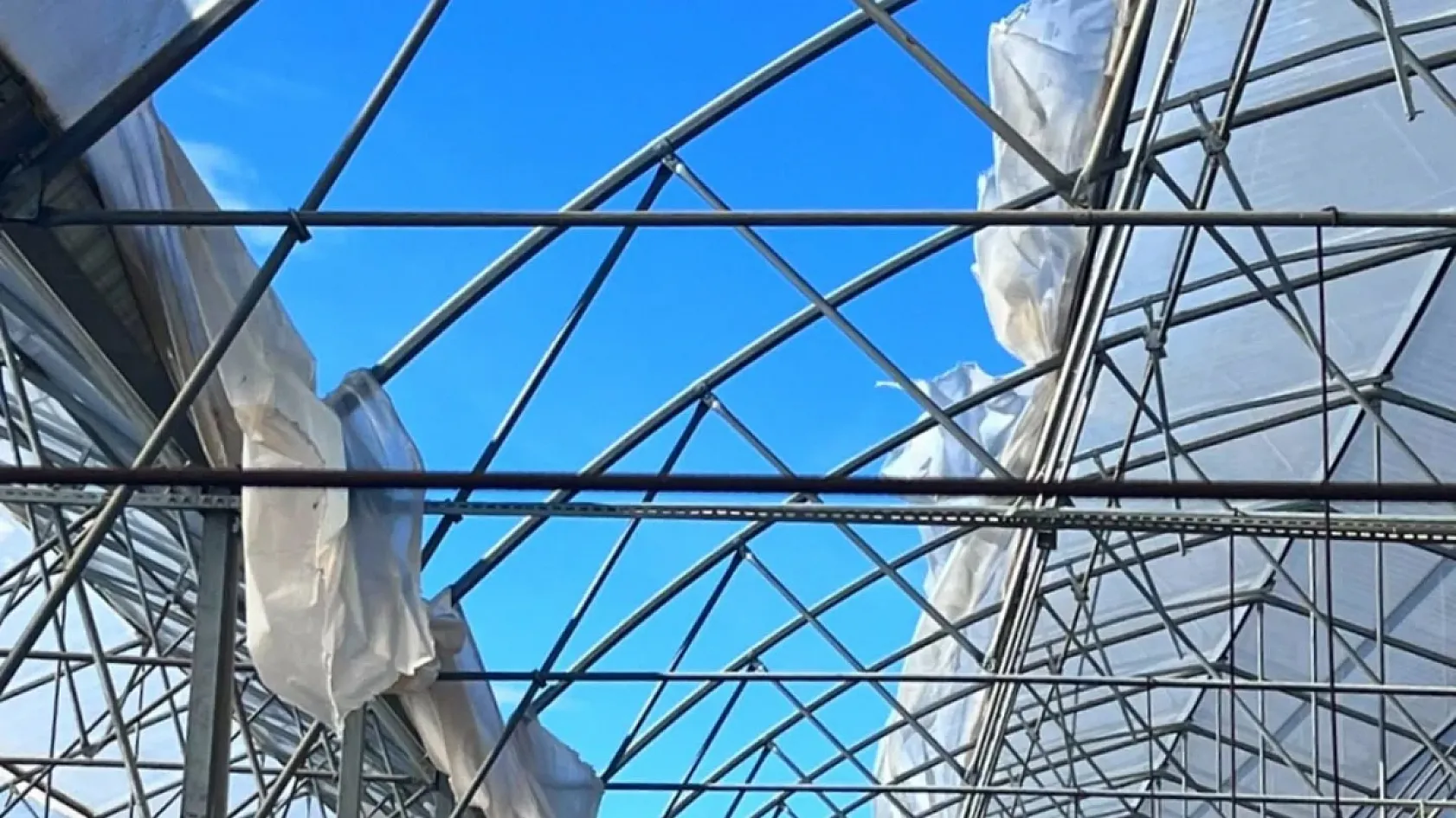 Fethiye'de seralarda hasar tespit çalışmaları sürüyor