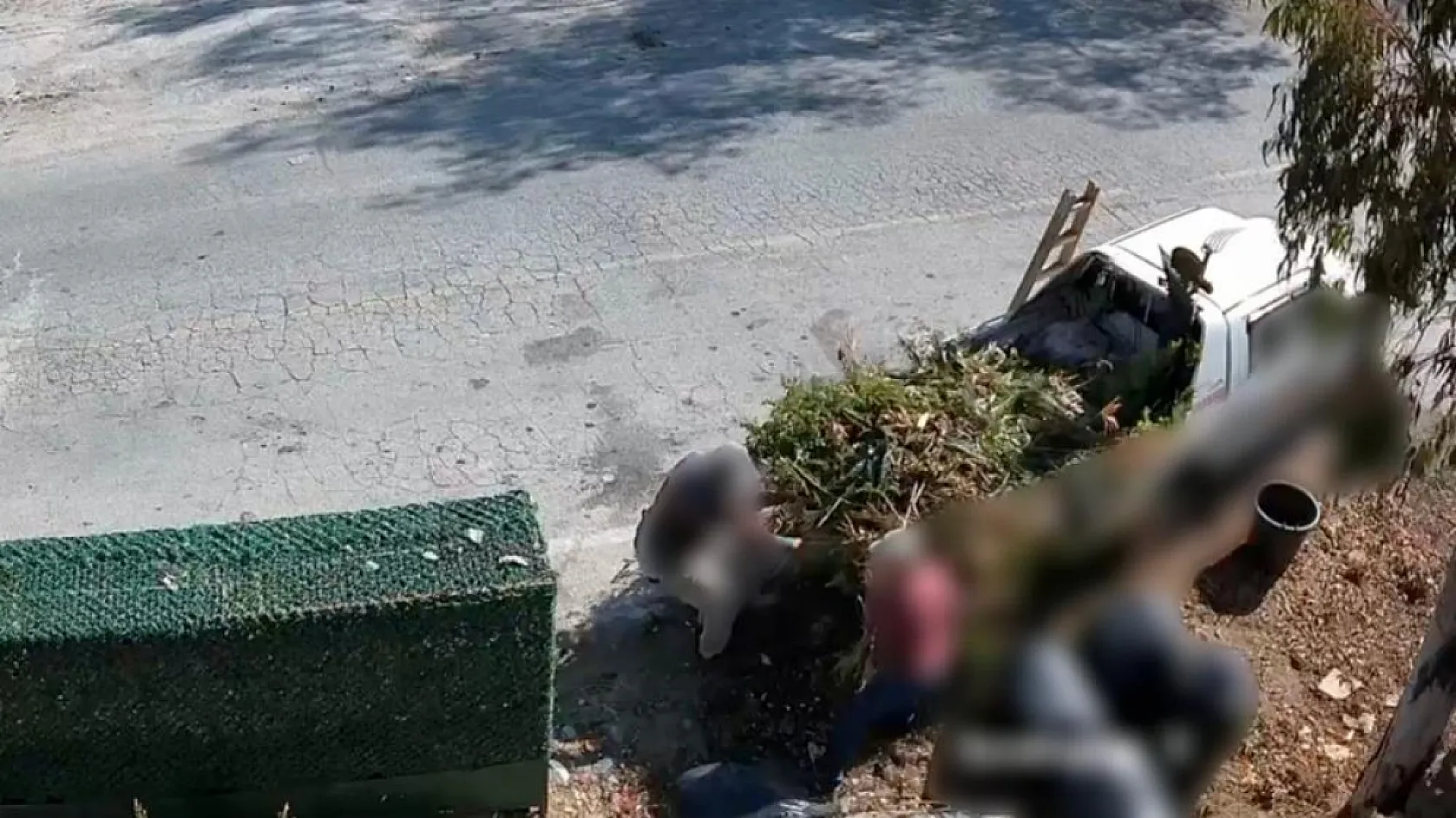 Bodrum'da çevreyi kirletenler belediye kamerasına yakalandı